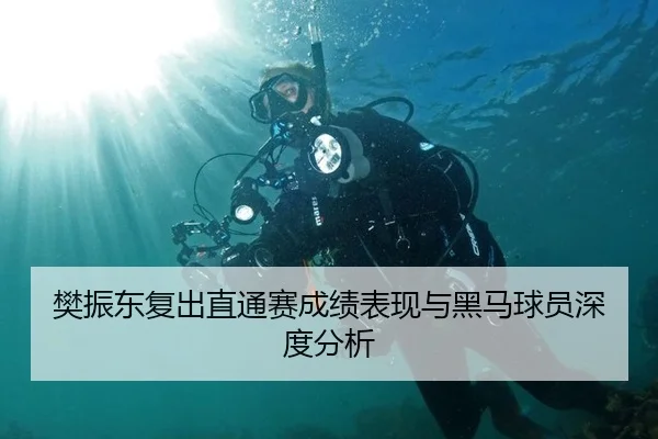 樊振东复出直通赛成绩表现与黑马球员深度分析